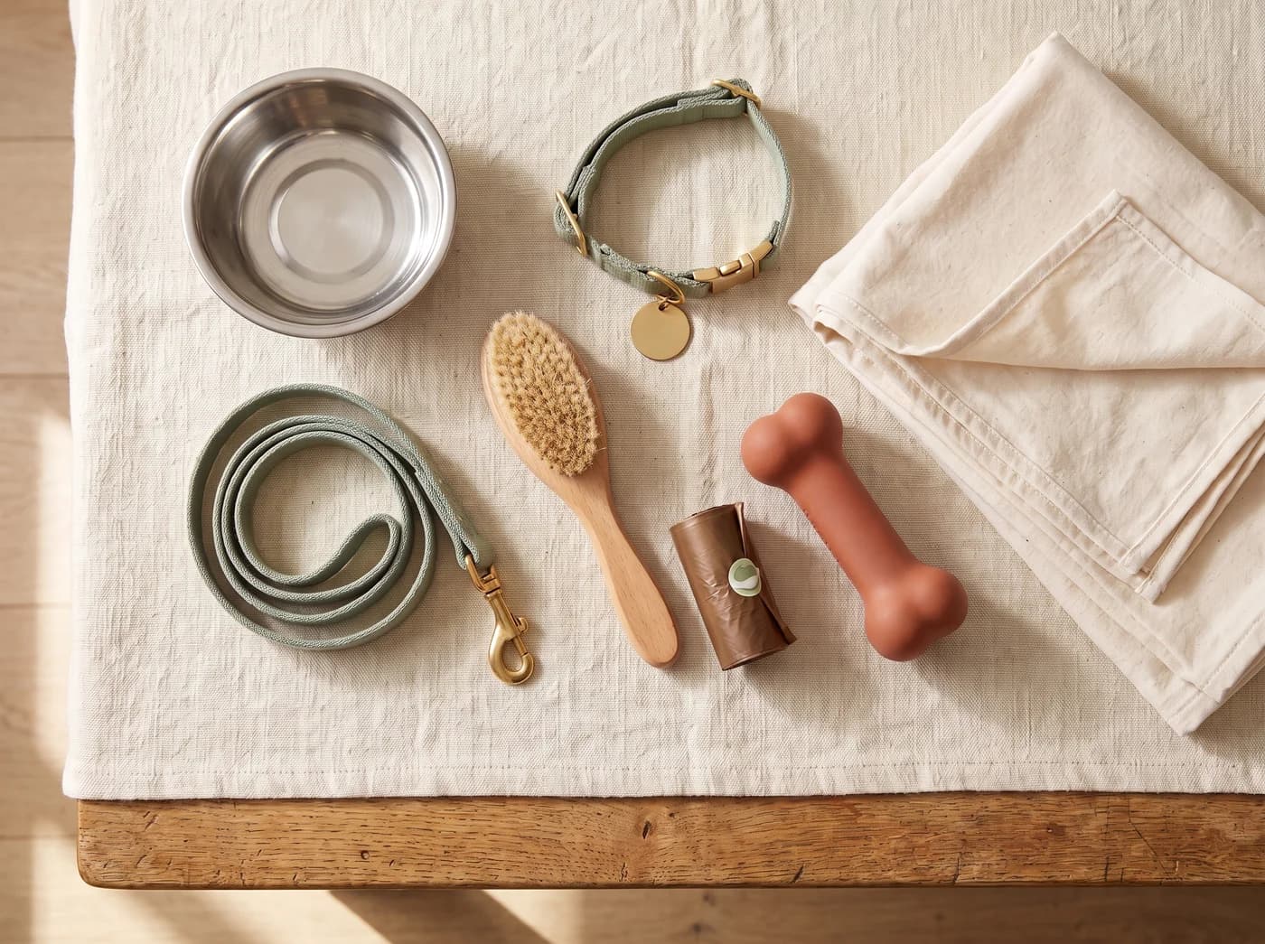 Illustrative dog supplies arranged for the first day at home