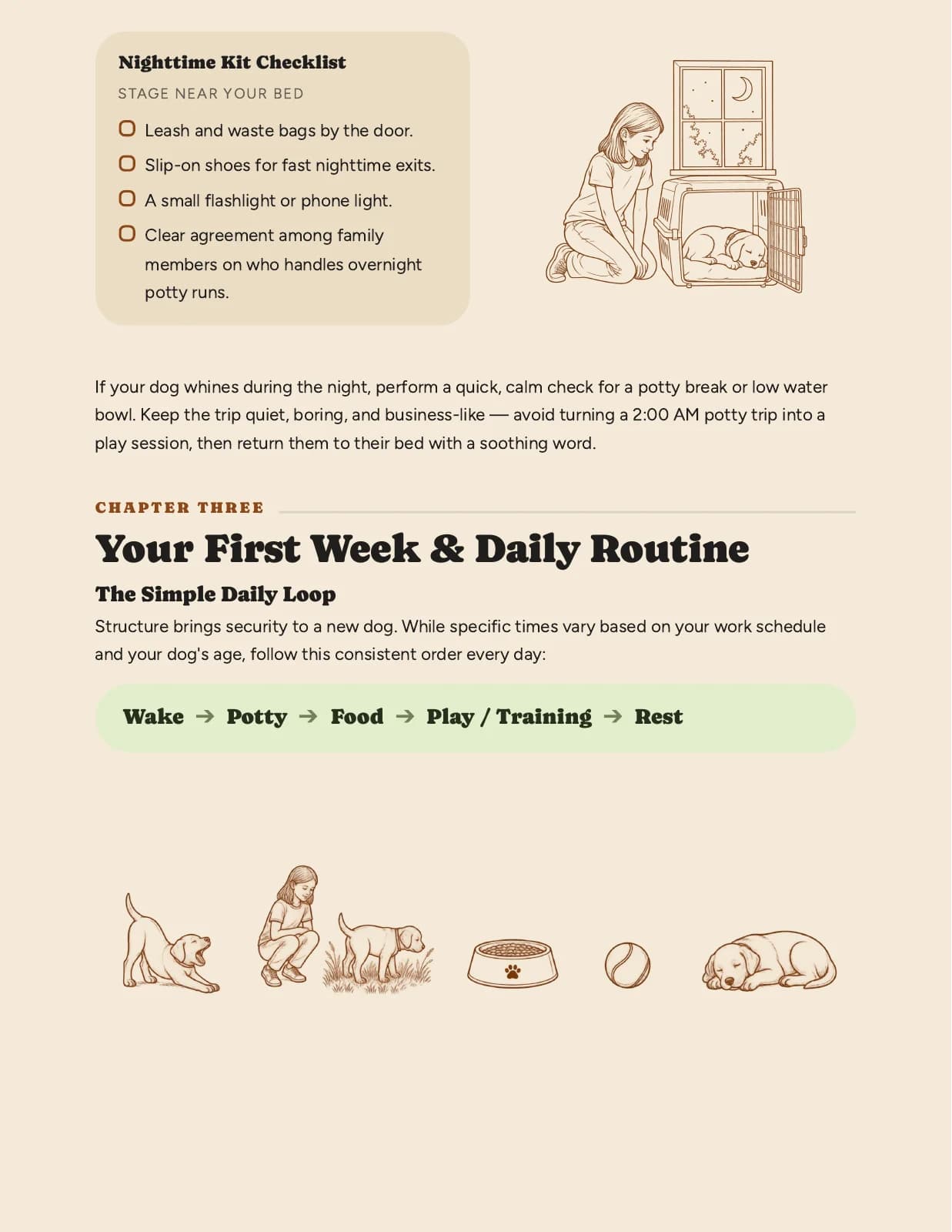 First nights. Daily rhythms. — an actual page inside the ebook