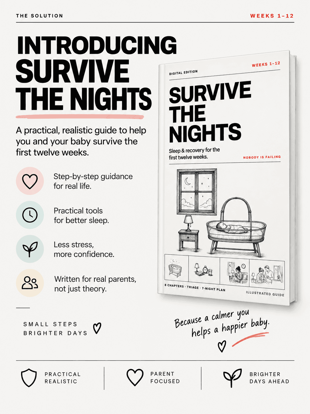 Introducing Survive the Nights — the guide shown as a book